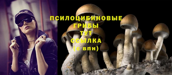 дживик Абинск