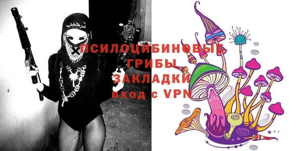 ешки Абаза
