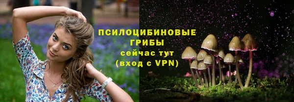 дживик Абинск
